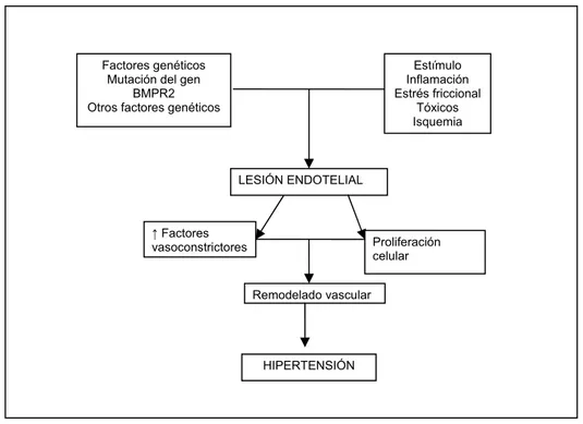 Figura 1.   Etiopatogenia de la hipertensión pulmonar arterial. La hipertensión pulmonar 
