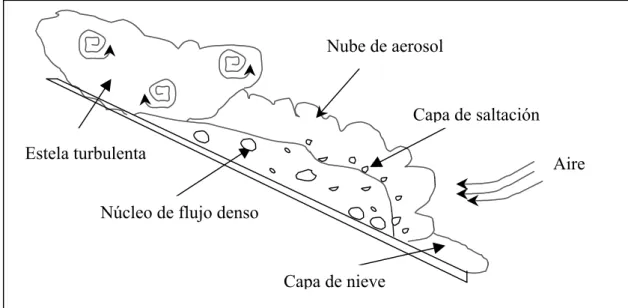 Figura 2-4. Esquema de las partes del alud que intervienen en el modelo mixto de Turnbull y Bartelt (2002).