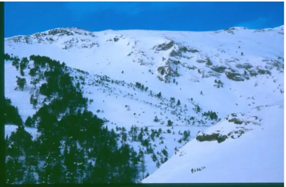 Figura 4-5. Fotografía de la vertiente de Mulleres, Vall de Núria. Fotografía realizada por Glòria Furdada Bellavista