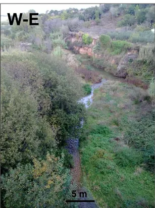 Figura 3.6. Vista del río Francolí.  Fotografía efectuada por A. Sendrós en el puente de la carretera C-37 (PK 4+300)  (Octubre 2011)