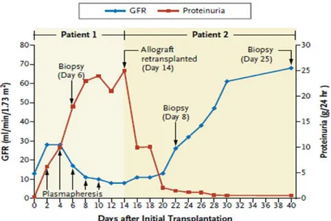 Figura  11.  Taxa  de  filtració  glomerular  (GFR)  i  proteïnúria  en  el  receptor incial del trasplantament i en el segon receptor de l’empelt  retrasplantat