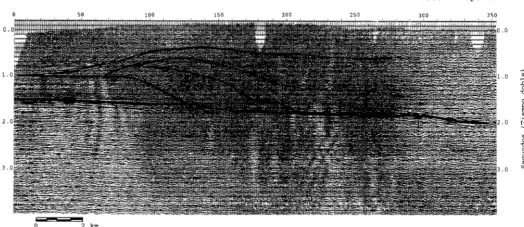 Figura  7.-Pcrl'il  dc  isiiiica S-2, paralelo  al  valle de la  Valltorta.  Figure  7.-  Seismic profile  S-2