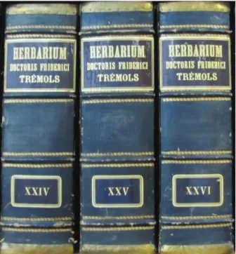 Figura 1. Capses on es guardaven els volums originals  de l’herbari, actualment conservades a l’IBB.