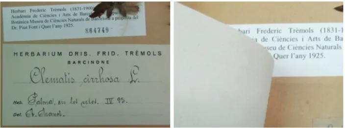 Figura 2. A l’esquerra, etiqueta d’un plec reordenat i determinat per Marcos. A la dreta, l’etiqueta original de Trèmols  enganxada a sota (BC-Trèmols 864749).