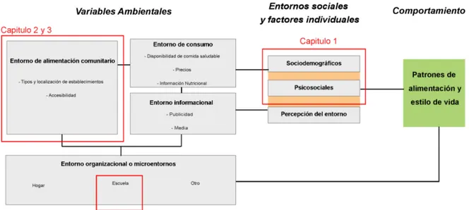 Figura 4. Estructura de la tesis a partir del modelo socio-ecológico de entornos alimentarios y la  adopción de hábitos saludables en población en edad escolar 