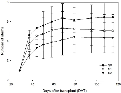 Figure 2. Number of stems per pot in the average of the genotypes per treatment versus  days  after  transplant  (DAT)