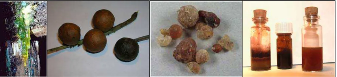 Fig. 24: Ingredient to make iron-gall ink: vitriol, oak galls, Arabic gum, iron-gall inks