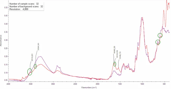 Fig.  34:  FTIR  spectra  of  gelatine  sizing  samples  B  yr.  1989  (violet),  C  yr
