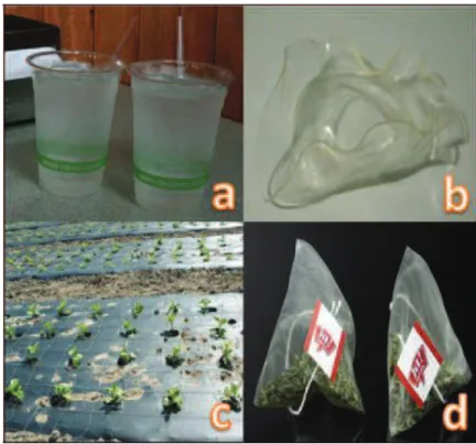 Figure 10- 3Some uses of PLA (a)Biodegradable PLA cups in use at a restaurant (b)Due to PLA's relatively low glass transition