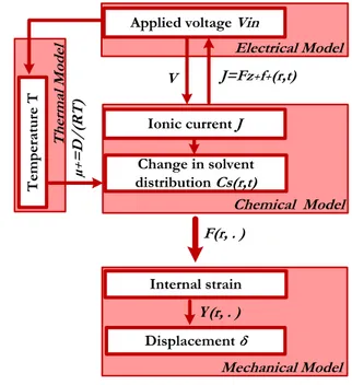 Figure 4: Multiphysics models diagram 