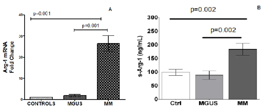 Figure 7. (A) Espressione di Arginasi-1 mRNA sui neutrofili isolati da PB di  soggetti  sani  (Controls),  MGUS  e  MM
