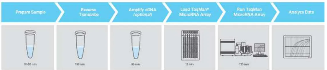 Figura  20.  Workflow  dell’esperimento  per  l’analisi  del  trascrittoma  dei  miRNAs  con  TaqMan® Human MicroRNA Array v.2 