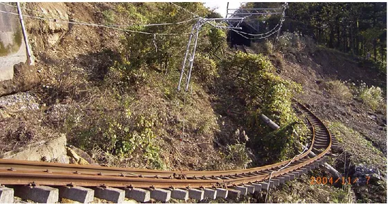 FIG. 1. 55 -  Collasso del rilevato ferroviario dopo il terremoto di Niigata. 
