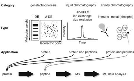 Figura 10:  tecniche analitiche utilizzate in studi di proteomica  