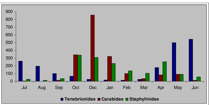 Fig. 4.9 – Trends in capture frequencies (CSD) of Coleoptera Tenebrionidae, Carabidae and Staphylinidae in individual  sampling months