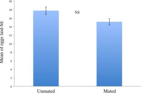 Fig.  3  Eggs  laid  by  unmated  and  mated  females  during  the  lifetime.  The  means  are  reported  as  number of eggs laid ± standard error and don’t show a significant statistical difference (P &gt; 0.05)  according to the non-parametric Whitney-Ma
