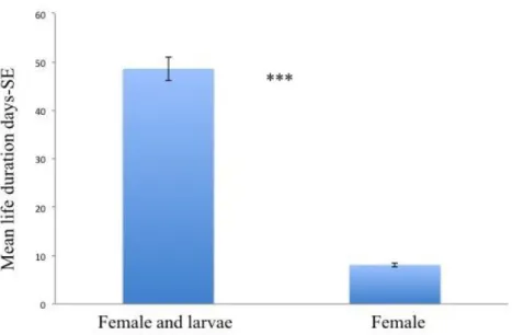 Fig. 6 Longevity of starved females and females nourished with fourth-instar larvae. The means are  reported  in  days ± standard error and  show  a  strong significant statistical  difference  according to  two-tailed T-test, P &lt; 0.0001