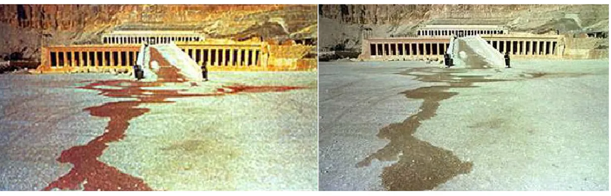 Figure 3: After 58 tourists were killed in a terrorist attack at the temple of Hatshepsut in Luxor Egypt in Nov  1997, the Swiss tabloid Blick digitally altered a puddle of water to appear as blood flowing from the temple
