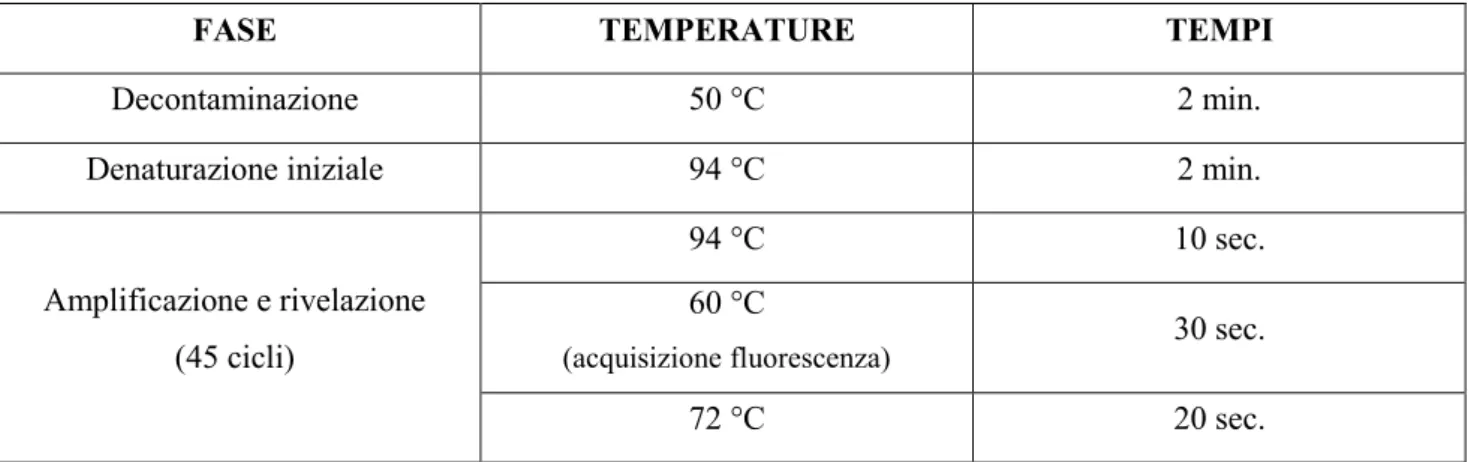 Tab. 1: Profilo termico Real .time PCR per CMV 