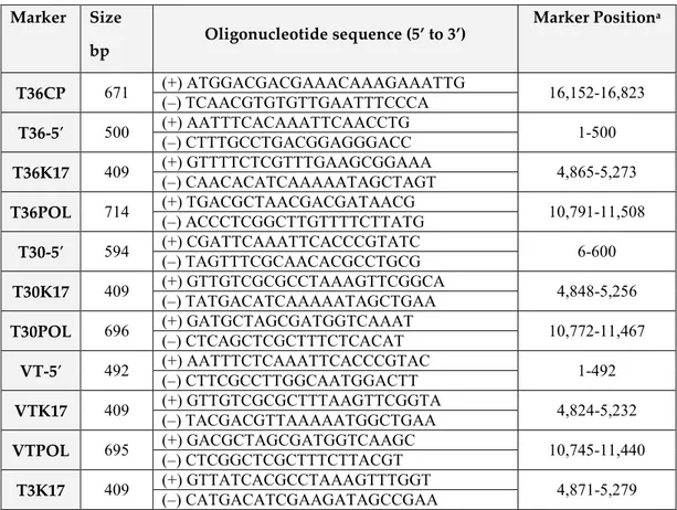 Table 3.  Oligonucleotide primers and their genomic positions used for Multiple Molecular  Markers analysis (Hilf et al., 2005)     