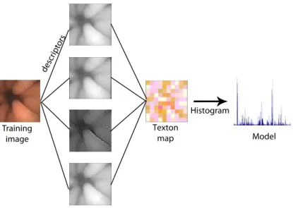 Figure 5.2: The second step is to learn models for each training image. Each filter response is labelled with the texton which lies closest to it in filter response space