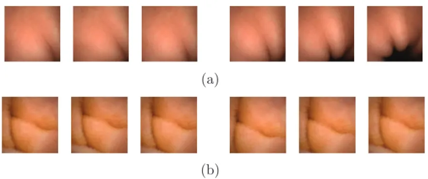 Figure 6.5: Two examples of sequences of consecutive frames. The row (a) represents an event