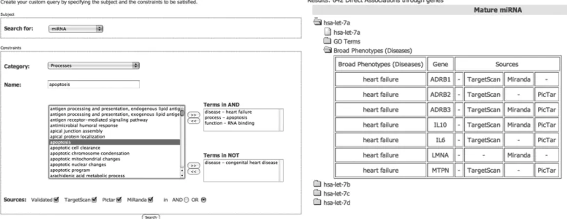 Fig. 6.2 - Un esempio di esecuzione di query avanzata. (a) Il modulo della ricerca avanzata con i  vincoli  selezionati:  saranno  restituiti  i  miRNA  relativi  ai  terminiheart  failure,  apoptosis  e  RNA  binding,  ma  non  acongenital  heart  disease