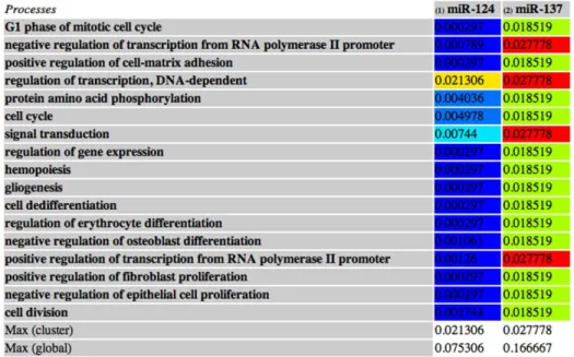 Fig.  3.2  -Esempio  di  un  sottoinsieme  contenente  2  miRNA  (miR-124  e  miR-137),  entrambi  coinvolti in  17 processi