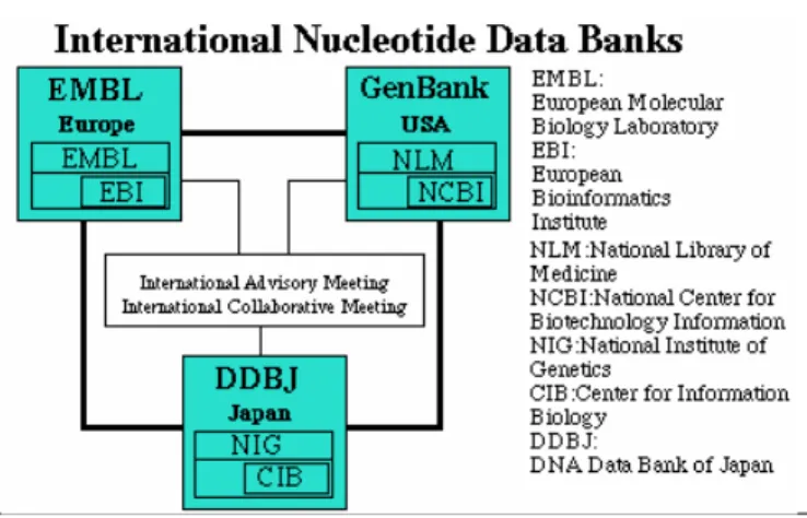 Figura 4.1 I tre database biologici 