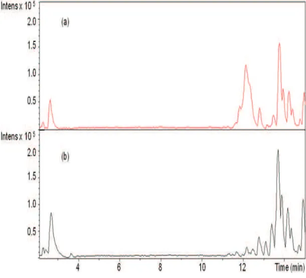 Fig.  5.  LC  chromatograms  (wavelength:  214  nm)  from  quebracho-supplemented  diet  (a) and control diet (b)              