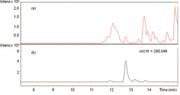 Fig.  7.  LC-chromatogram  (a)  and  extracted  ion  chromatogram  for  m/z  H -   =  285·046 
