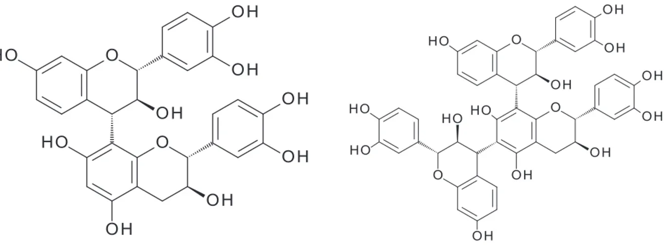 Fig. 8: Possible assignments of profisetinidin ions that were detected in the LC-MS  chromatograms of extracts from the quebracho-enriched diet 