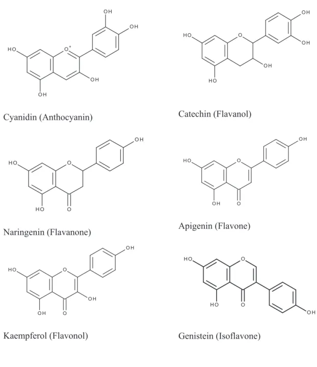 Figure 2. Examples of flavonoids compounds 