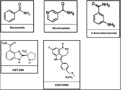 Figure 10. Inhibitors of PARP. The classical inhibitors are nicotinamide, benzamide, and substituted 