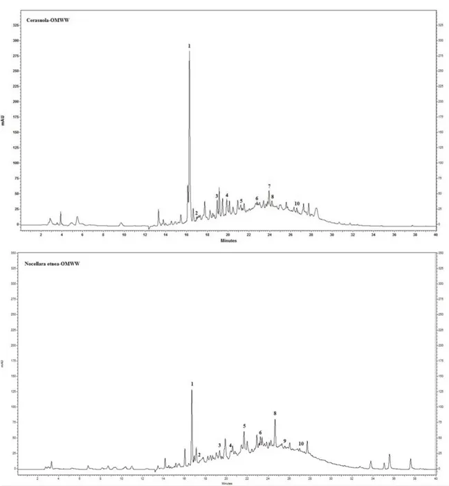 Figure 18. Chromatograms at 280 nm of Cerasuola-OMWW and Nocellara etnea-OMWW: 