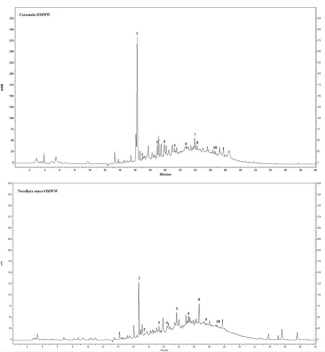 Figure 18. Chromatograms at 280 nm of Cerasuola-OMWW and Nocellara etnea-OMWW: 