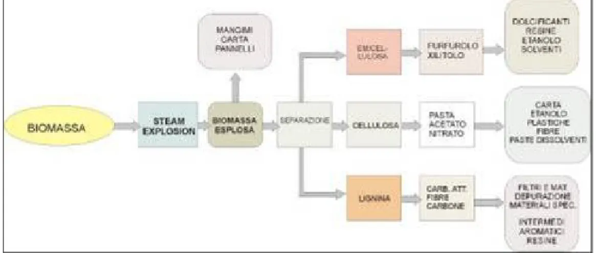 Figura 5: Principali prodotti ottenibili via SE 