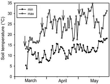 Figura  12:  Temperatura  minima  e  massima  giornaliera  del terreno registrata nel corso della prova in campo