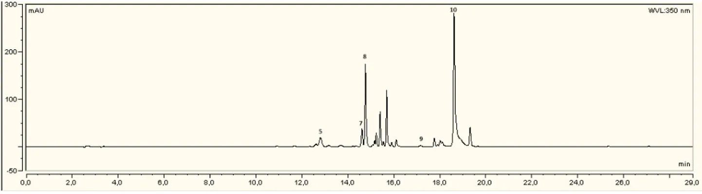 Fig. 21 - Cromatogramma HPLC-UV/Vis di polline di Cynara cardunculus var. altilis acquisito a 350 nm