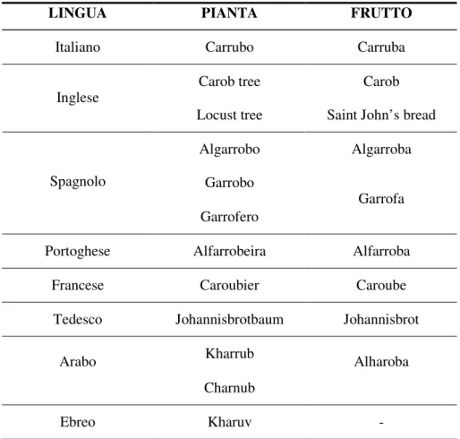 Tabella 1. Nome del carrubo e del suo frutto in varie lingue. 