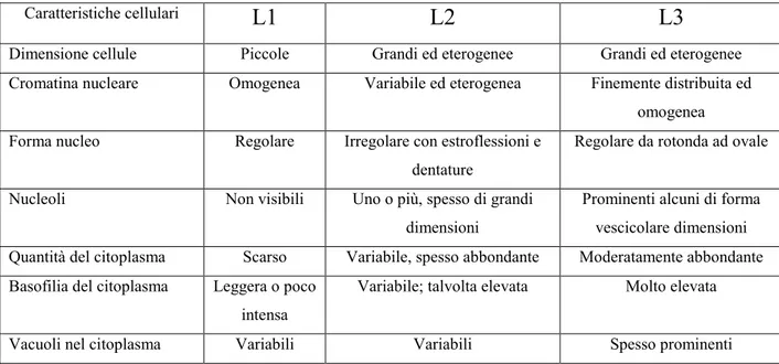 Tabella 2: Caratteristiche morfologiche della LLA secondo la classificazione FAB 