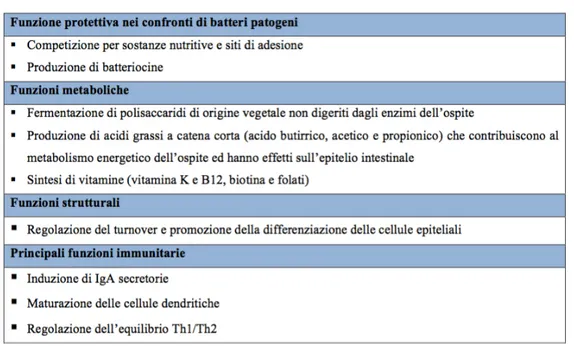 Tabella 1 Funzioni della componente batterica del microbiota intestinale [16, 17] 