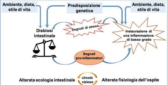 Figura  4  Circolo  vizioso  tra  ecologia  intestinale  alterata  e  fisiologia  alterata  dell’ospite
