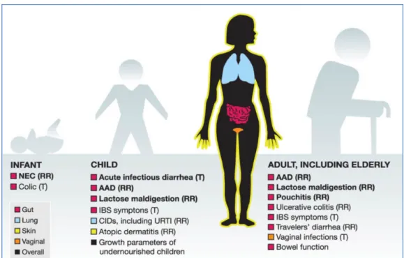 Figura 5 Target di studi effettuati con probiotici in soggetti sani e malati di età  differenti [29]