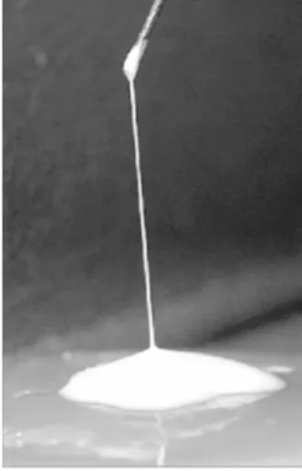 Figura 9 Aspetto macroscopico di un filamento ropy, formato dalla massa cellulare  di  un  ceppo  LAB  commerciale  produttore  di  EPS  cresciuto  sulla  superficie  di  piastre contenenti de Man, Rogosa &amp; Sharpe (MRS) agar [106]