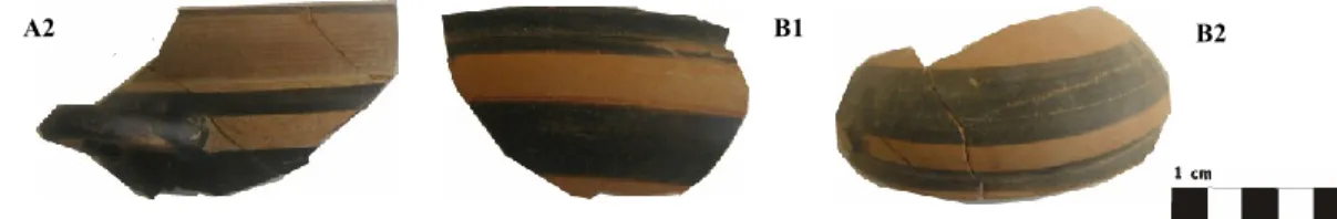 Fig. 1.1.2 Esempi di frammenti di coppe ioniche rinvenute a Gela 