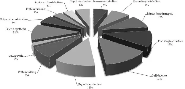 Figure 1: Categories of main functions (%) of genes analysed by Real-time PCR. 