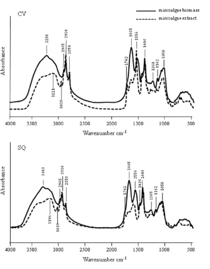 Figure  3.  FT-IR  spectra  of  biomass  of  Chlorella  vulgaris  and  Scenedesmus quadricauda (in solid line) and extracts (in dotted line)