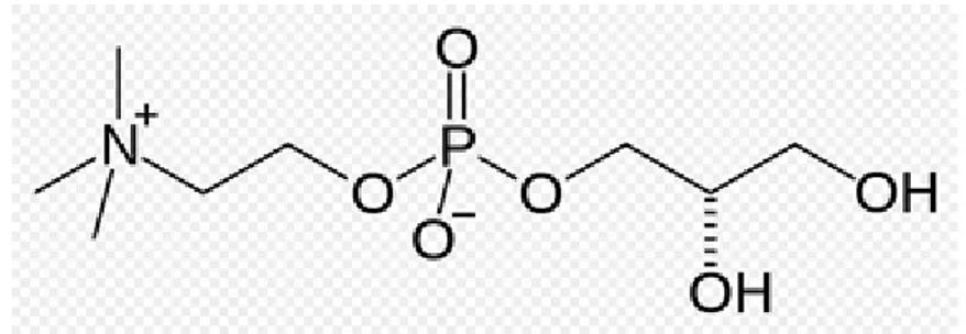Figure 3: Chemical structure of choline alphoscerate 