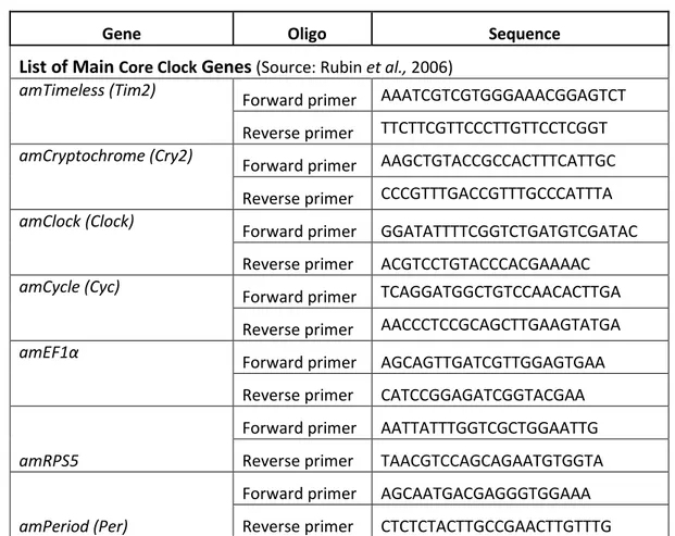 Table 2 – Core Clock and Metabolic gene’s Primers for Real-time quantitative PCR reactions carried out in this  study